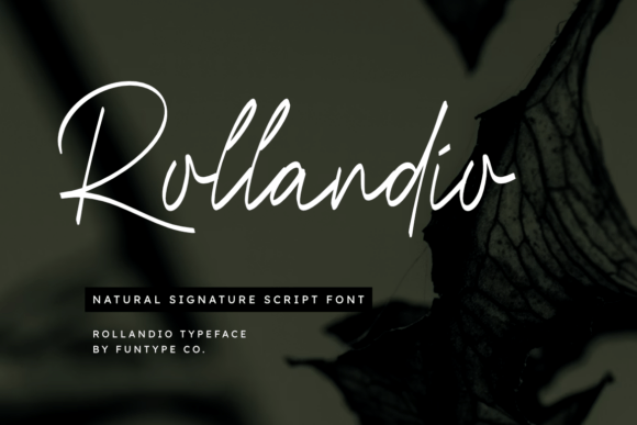 Rollandio: The Natural Signature Script That Elevates Your Brand